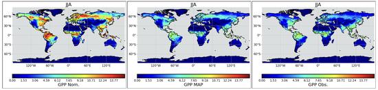 Uncertainty Propagation and Calibration in E3SM Land Model